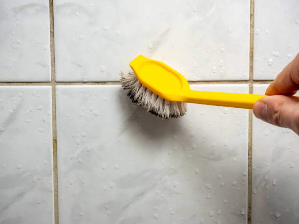Best Mold Remediation for Schools in Mustang, OK