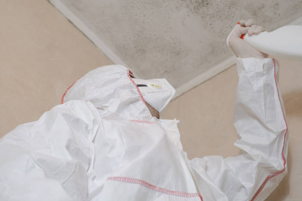 Best Residential Mold Remediation in Mustang, OK