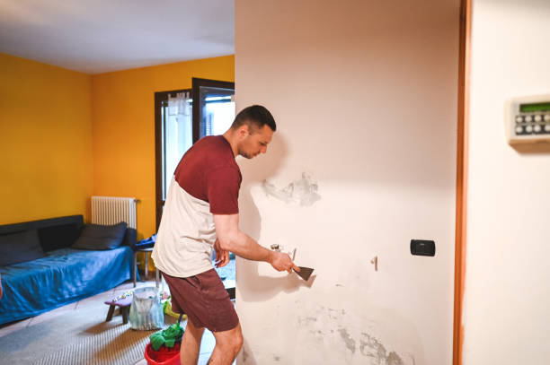 Best Attic Mold Remediation in Mustang, OK