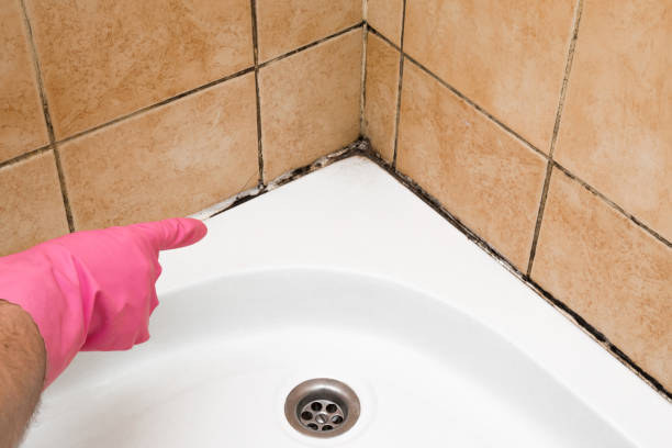 Mustang, OK Mold Remediation Company